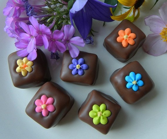 00354961c704c23654c4c0f5995ccb78a280af90_meltsfloweronplate600x500webfrontpage